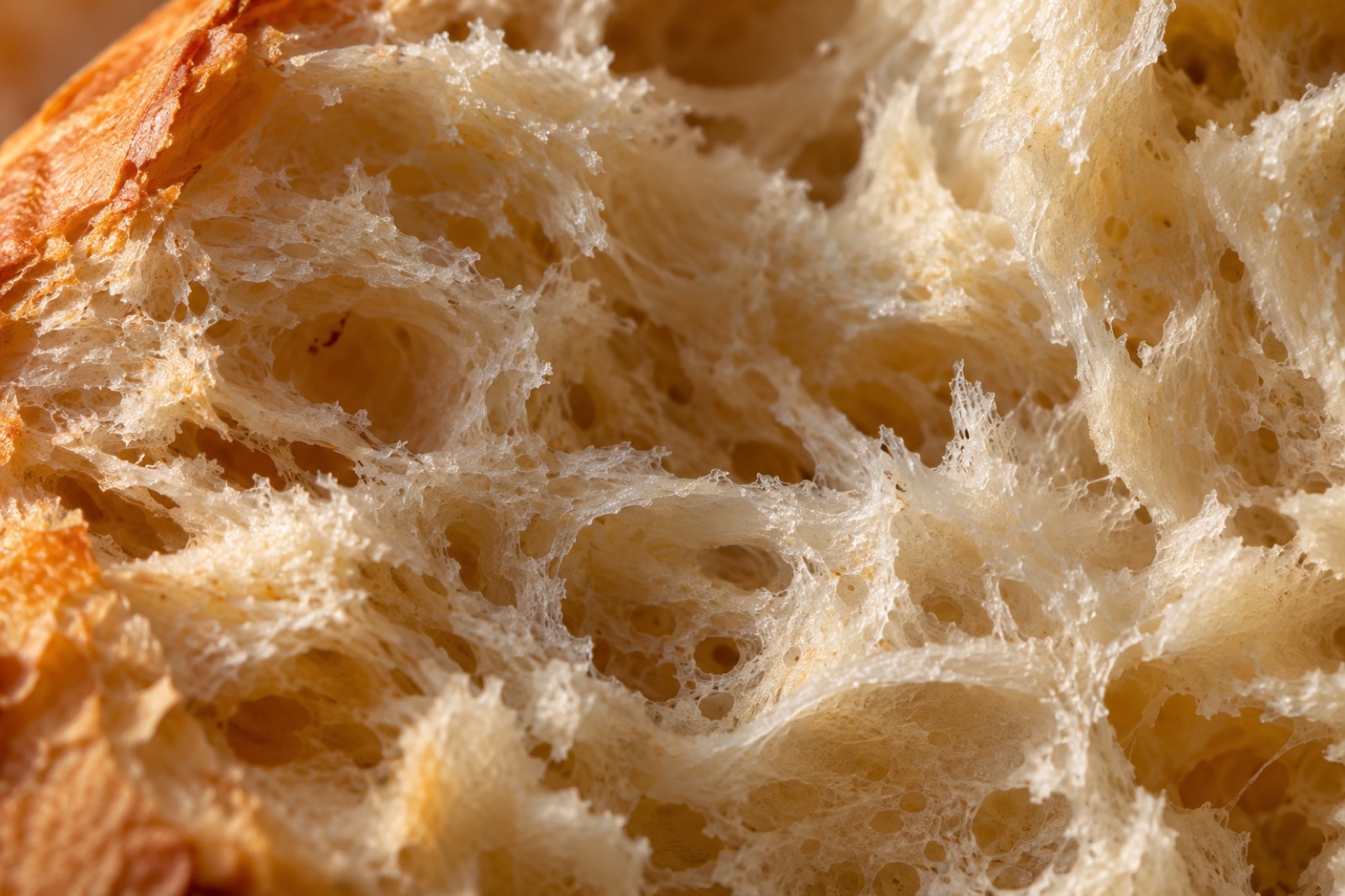 A very close view of the inside of a slice of white bread, with an airy, open crumb inside the brown crust