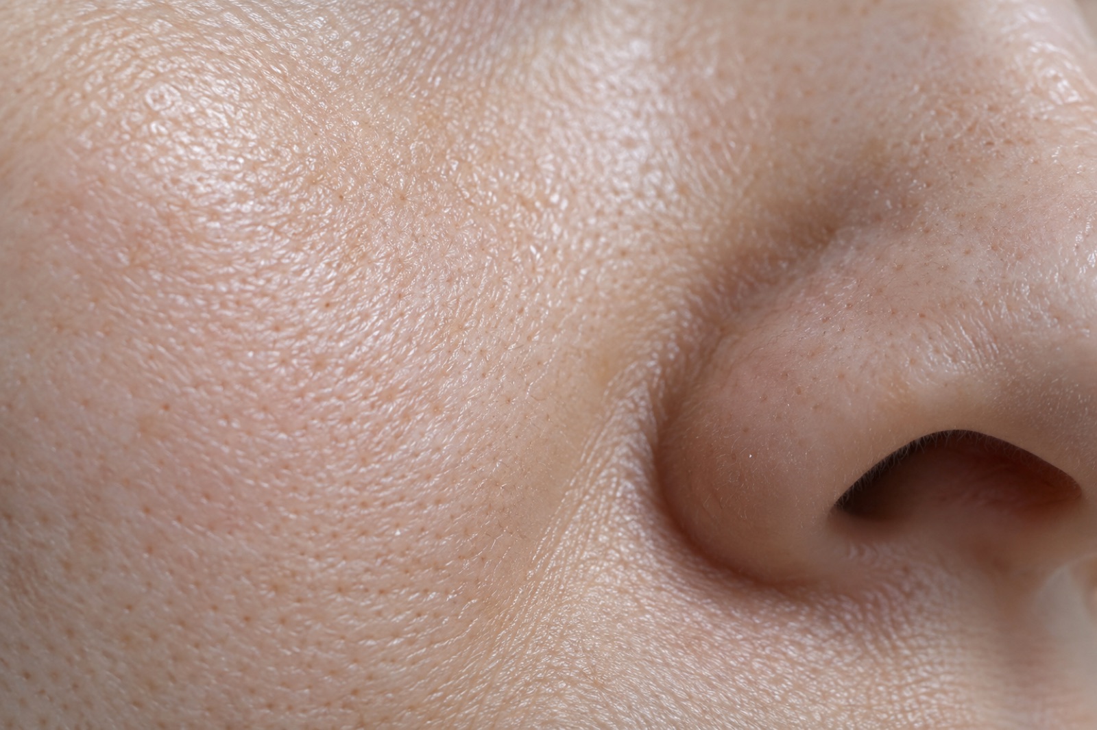 Close-up of skin from the cheek to the side of the nose with fine pores spread evenly and a slight sheen
